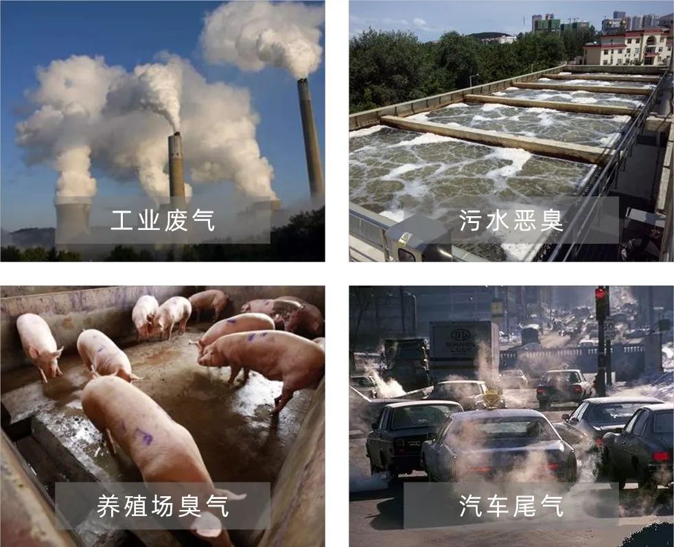 Dejing的凈工業(yè)除臭劑——解決臭味困擾的源頭！.jpg