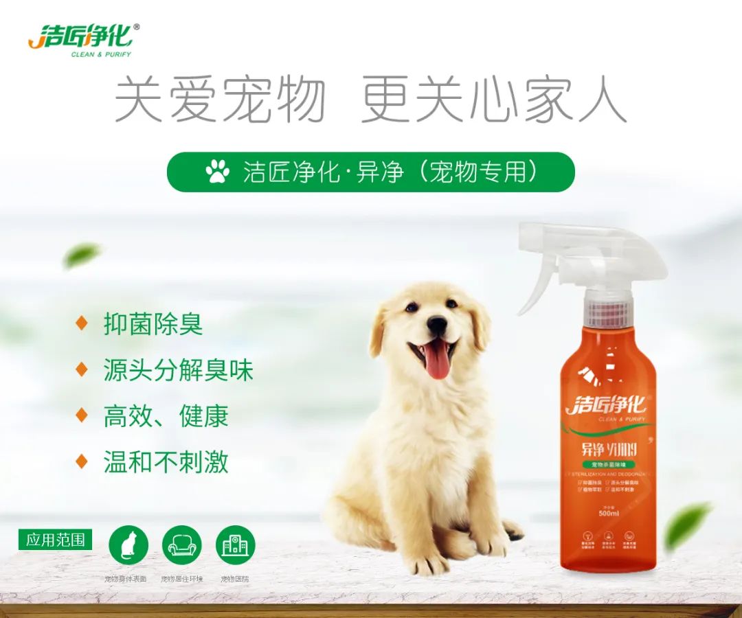 寵物氣味彌漫整個(gè)屋子，潔匠凈化教您如何除味
